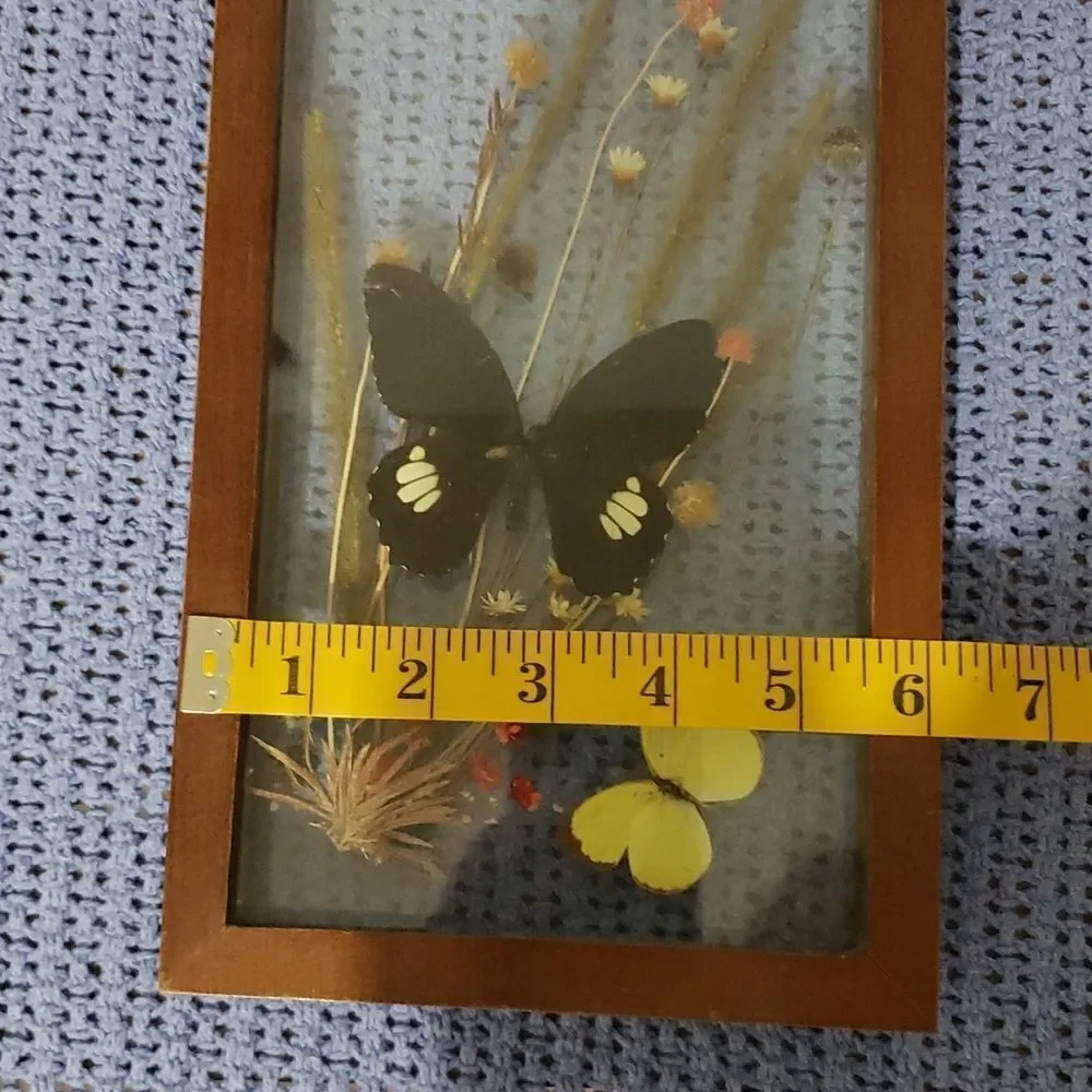 Stunning Butterfly & Dried Flowers Mounted In Shadow Box Framed Wall Art